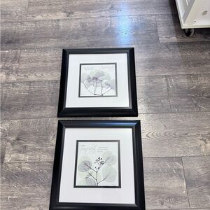 Patton Picture Co. Set of 2‎ Framed Botanical Art Prints